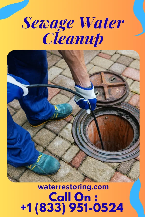 Sewage Water Cleanup in Bishop, GA